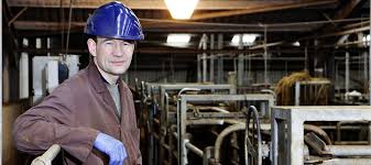 Coleraine company WD Meats