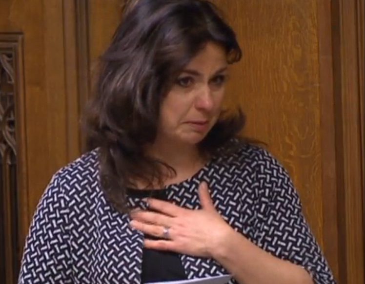 Heidi Allen 02