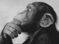 Thinking!