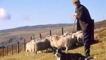 Welsh Weekly Earnings Lowest in The UK