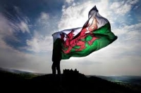 Welsh Labour Force Survey Estimates for The Three Months to June 2019
