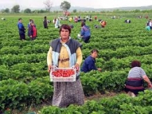 Bulgarian Workers