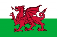 Welsh Flag
