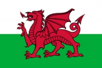 Welsh Flag